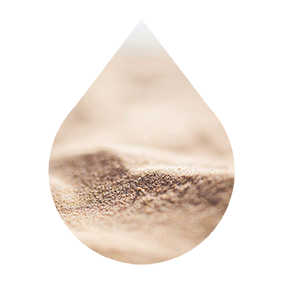 aminoacidos