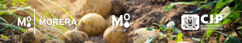 Colaboración José Morera, s.l. y Internacional Potato Center