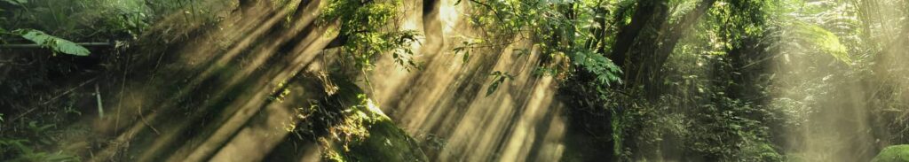 fitotrón simulador climático
