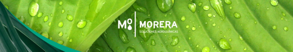 new line of organic products