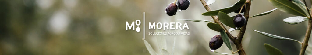 Nutritional Care and Fertilizer