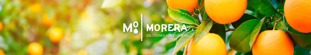 BioFertilization is an innovative process
