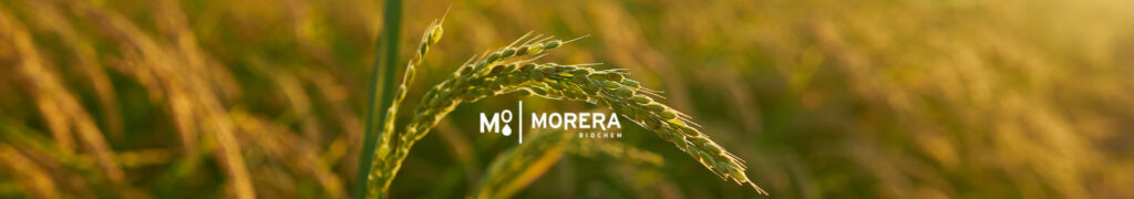 microorganisms in agriculture