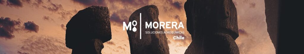 exportacion chile