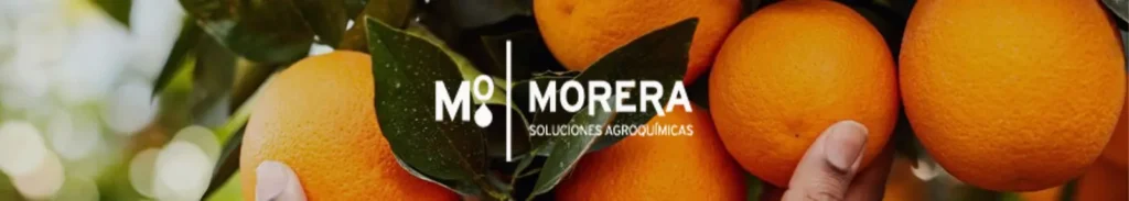 mejor abono para los naranjos
