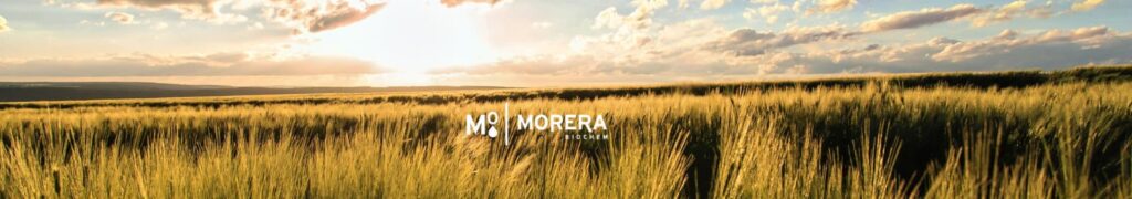 mantener atmosfera limpia