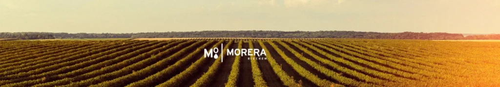 bioestimulantes cultivo frio