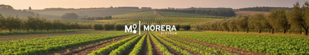 productos ecológicos cultivos