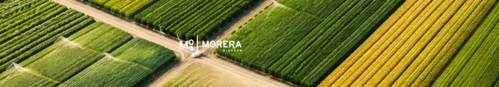 profesionalizar toma decisiones