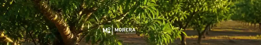 postcosecha nutrición leñosos